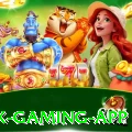 55ii Max Gaming App